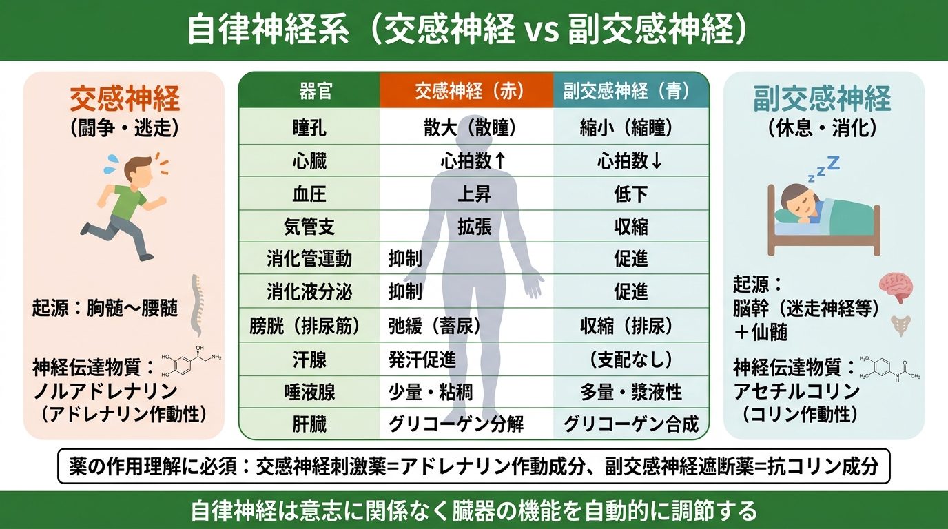 登録販売者試験 図解
