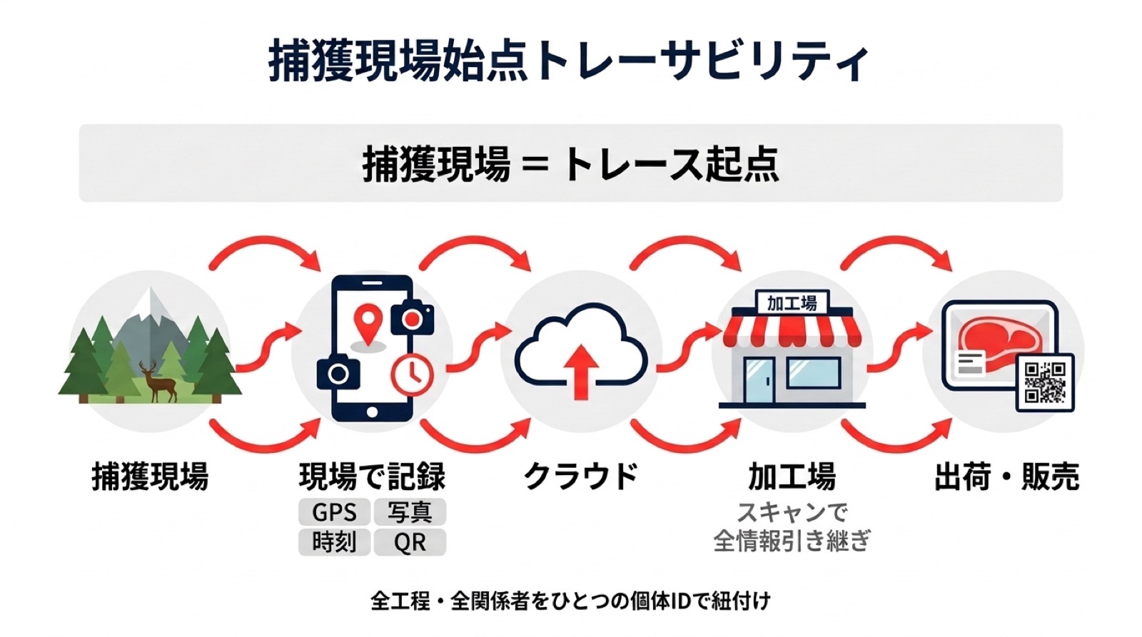 捕獲現場を起点としたトレーサビリティの概念図
